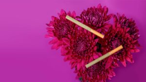 2 cigarettes wrapped in Botani Hemp Wrapper sitting on top of magenta flowers over a fuchsia background