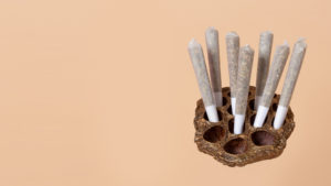 7 Botani Pre-Rolls standing up right in a wood holder on a peach background