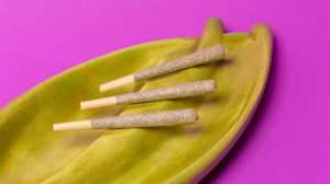 3 Botani Cannabis Pre-rolls sitting on a yellow tray on a fuchsia background