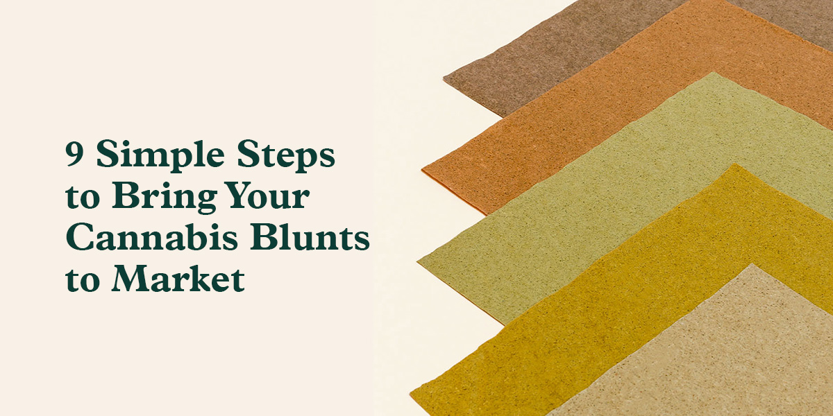 do tobacco companies target youth Tobacco Tactics Factsheets - E-Cigarettes, Cigars, Snus, Dissolvable, Blunt  Wraps Flyer