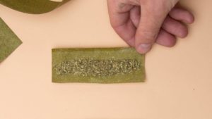 Hand holding the edge of a Botani Blunt wrap with cannabis