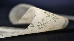 Botani - Gumming Paper with Cannabis Leaf Print