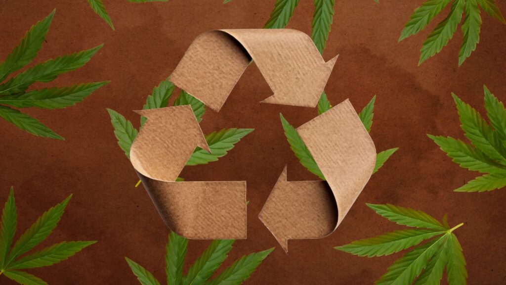 Botani Eco-Friendly Cannabis Paper Solutions