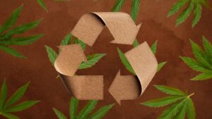 Botani Eco-Friendly Cannabis Paper Solutions